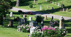 Cress Funeral and Cremation Service